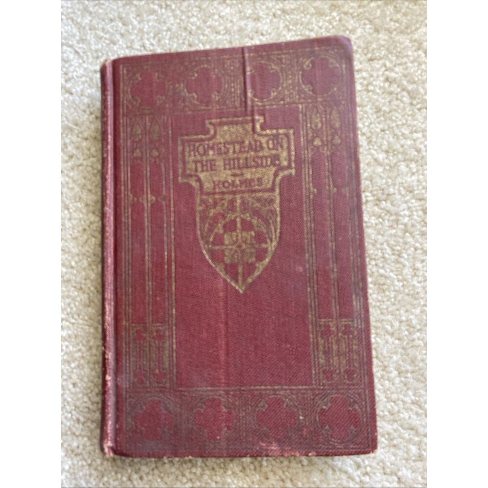 The Homestead On the Hillside by Mary J Holmes Vintage Hardcover